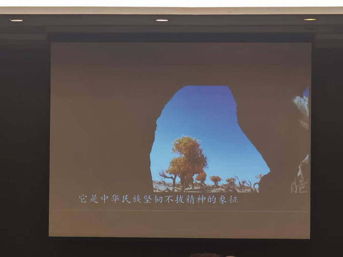 綿陽中旅行假日旅行社舉行胡楊林、南疆專列推薦會(huì)